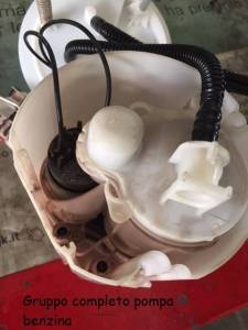 996783_425133951019371_8607839729010765148_n